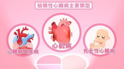 甚麼是結構性心臟病? (Only available in Chinese)