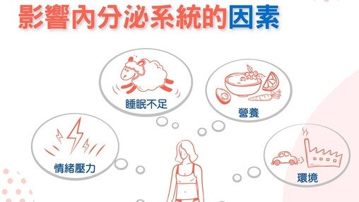 影響內分泌系統的因素 (Only available in Chinese)