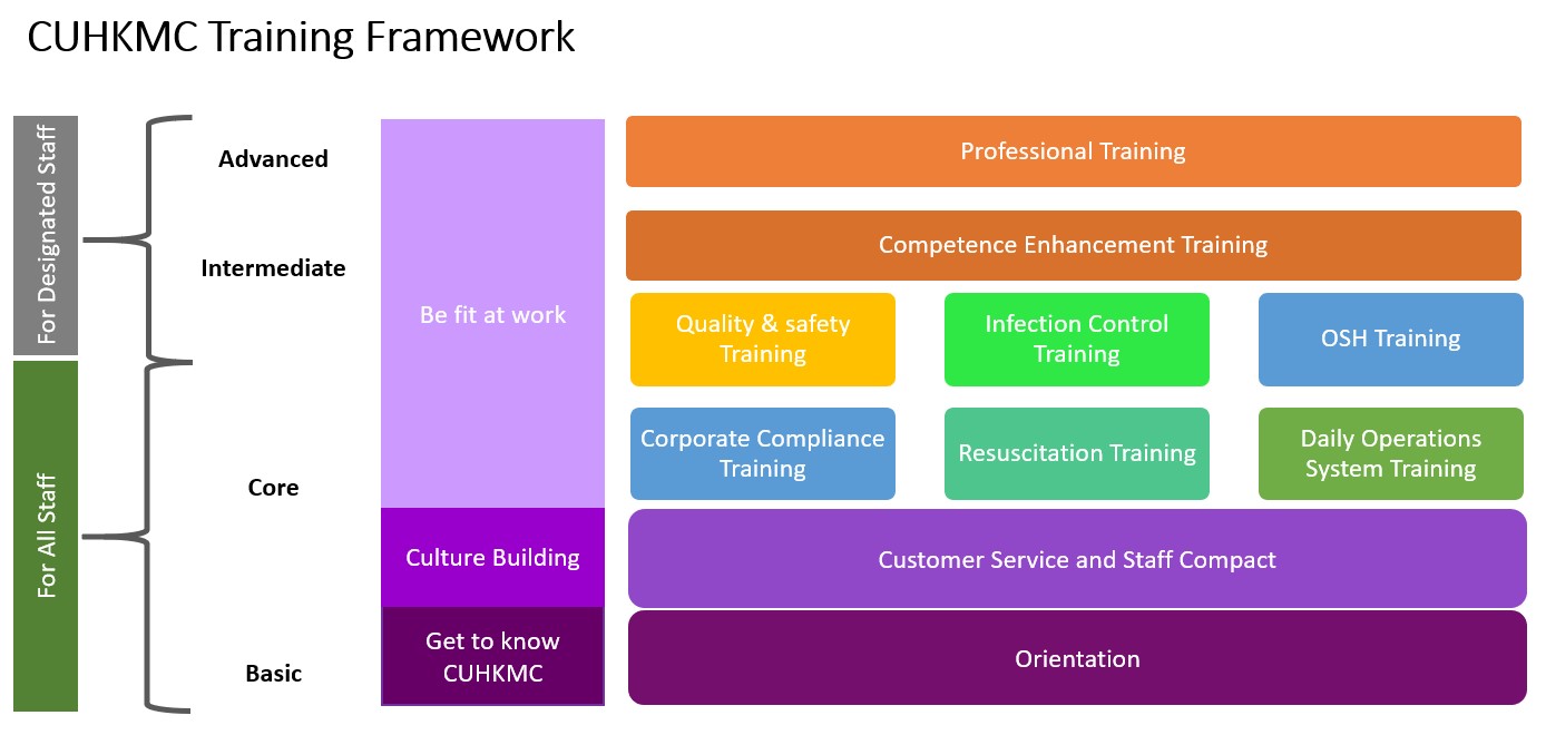 Image of MT Programme Structure