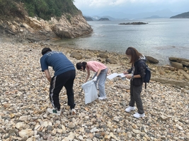 Image of Beach Cleaning